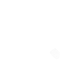 New Shine Lighting
